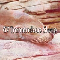 67 Tremendous Sleep