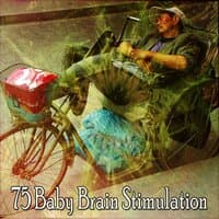 75 Baby Brain Stimulation