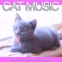 Cat Music: Soft Music for Cats, Music For Relaxation and Calm Music for Pets