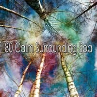 80 Calm Surrounding Spa