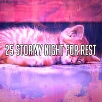 25 Stormy Night for Rest