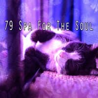 79 Spa for the Soul