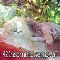 42 Insomnia Removal