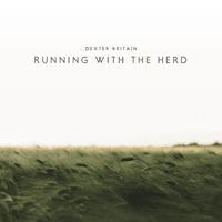 Running with the Herd