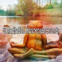 53 Meditation Awareness Sounds