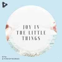 Joy In The Little Things