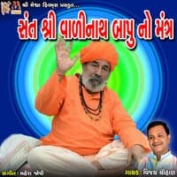 Sant Shree Vadinath Bapu No Mantra