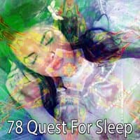 78 Quest for Sleep