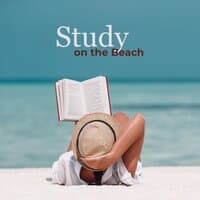 Study on the Beach - Focus Music, Relaxing Waves for Meditation, Sleeping and Mindfulness