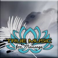 True Music for Massage – Erotic Massage, Silk Touch, Body Bliss, Stress Relief, Nature Sounds,  Rain, Sea, Ocean, New Age