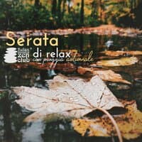 Serata di relax con pioggia autunnale: Ora di dormire, Meditazione, Alleviare lo stress