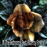 35 The Bedrooms Best Stormy Friend