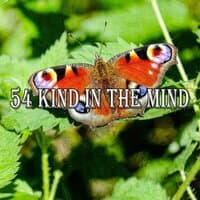 54 Kind in the Mind