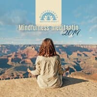 Mindfulness-meditaatio 2019: Jooga, Nukkua, Luonto kuulostaa, Syvä rentoutumismusiikki