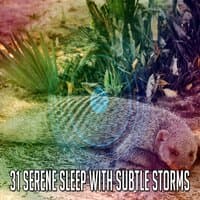 31 Serene Sleep with Subtle Storms