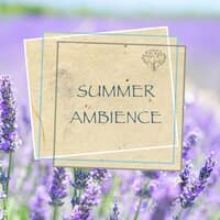 Summer Ambience