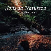 Sons da Natureza para Dormir