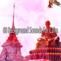 60 Background Sounds for Calm