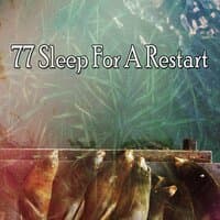 77 Sleep for a Restart