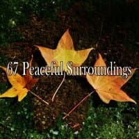 67 Peaceful Surroundings