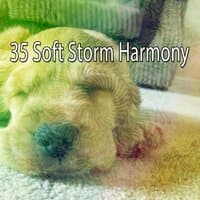 35 Soft Storm Harmony