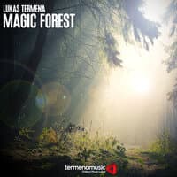 Magic Forest