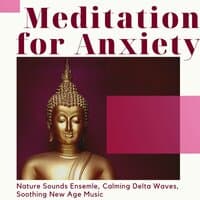 Meditation for Anxiety: Nature Sounds Ensemle, Calming Delta Waves, Soothing New Age Music