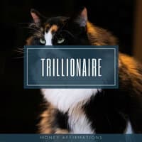 Trillionaire Money Affirmations