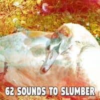 62 Sounds to Slumber