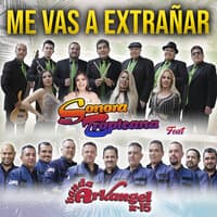 Me Vas A Extrañar