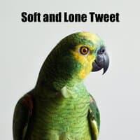 Soft and Lone Tweet