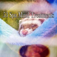 53 Spa Mind Treatments