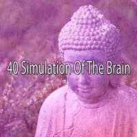 40 Simulation of the Brain