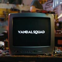 Vandal squad