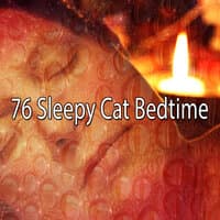 76 Sleepy Cat Bedtime