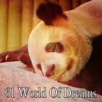 61 World of Dreams