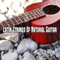 Latin Strings of Natural Guitar