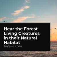 Hear the Forest Living Creatures in their Natural Habitat