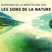 Guérison de la méditation zen: Les sons de la nature