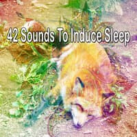 42 Sounds to Induce Sle - EP