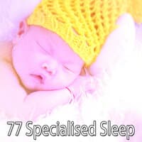 77 Specialised Sle - EP