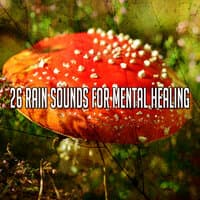 26 Rain Sounds for Mental Healing