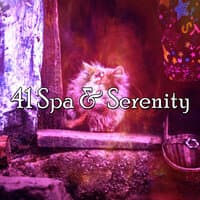 41 Spa & Serenity