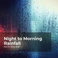 Night to Morning Rainfall