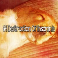 64 Destruction of Insomnia