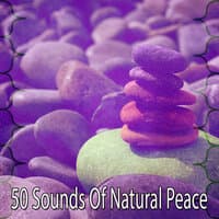 50 Sounds of Natural Peace