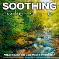 Soothing Music: Nature Sounds and Calm Music For Relaxation, Stress, Anxiety, Depression, Cure Insomnia, Sleep, Sleeping, Studying, Study, Reading, Spa, Massage, Yoga, Meditation and The Most Relaxing Music