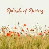 Splash of Spring