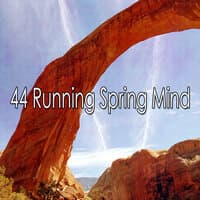 44 Running Spring Mind