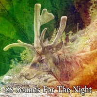 58 Sounds for the Night